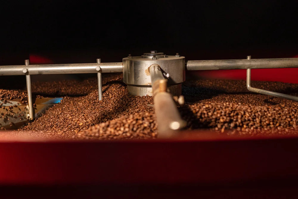 Torrefazione Goriziana – El arte del café desde el corazón de Friuli Venezia Giulia